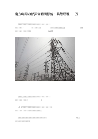 南方电网内部买官明码标价：县级经理300万