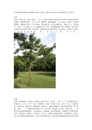 南方适合种植的植物