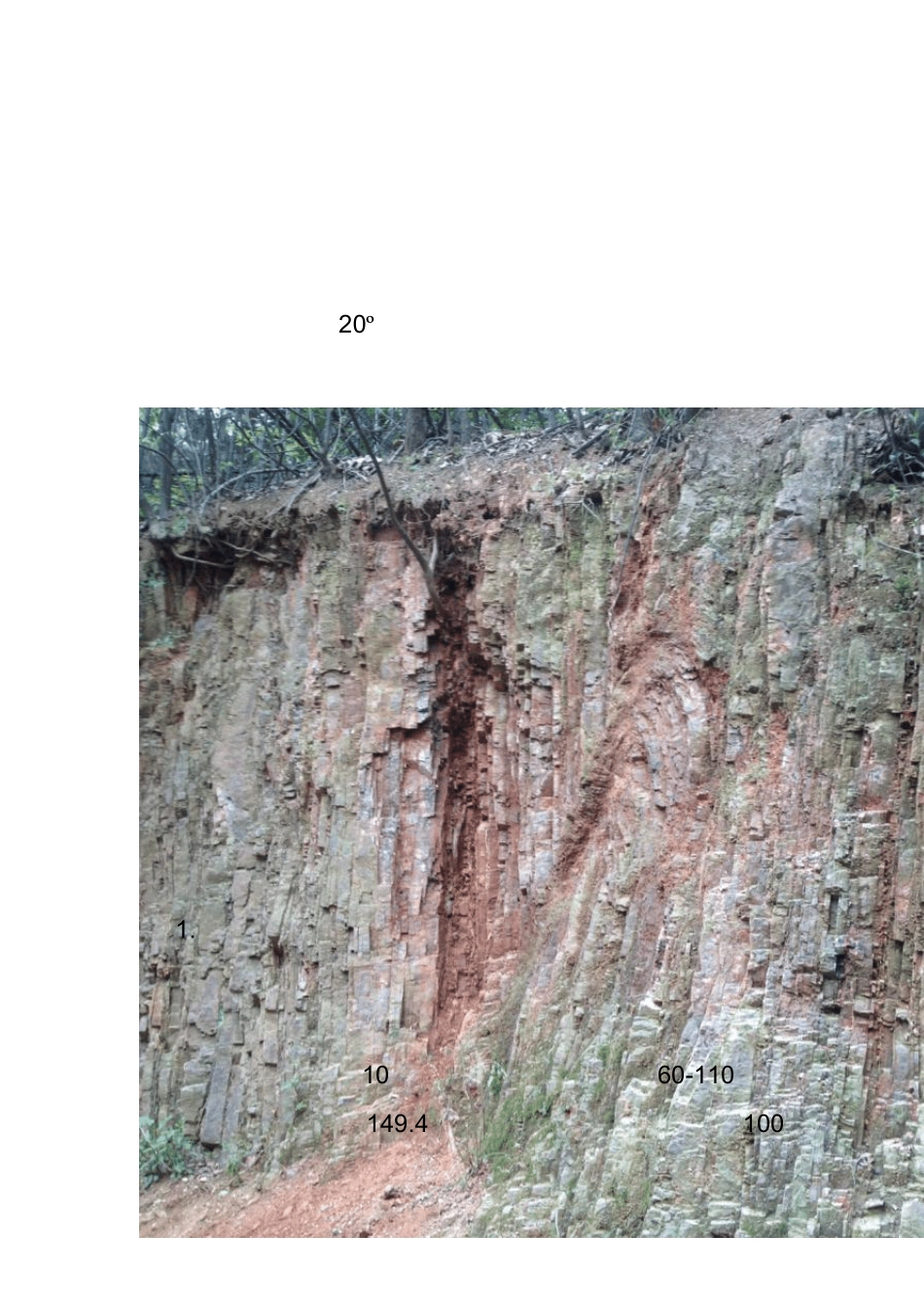 南望山实习报告_第3页