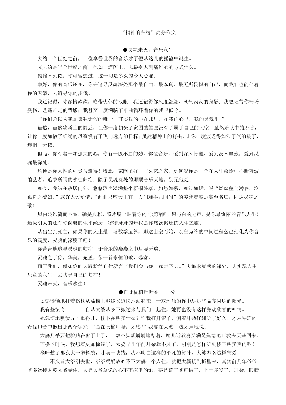 南通市满分作文精神的归宿_第1页