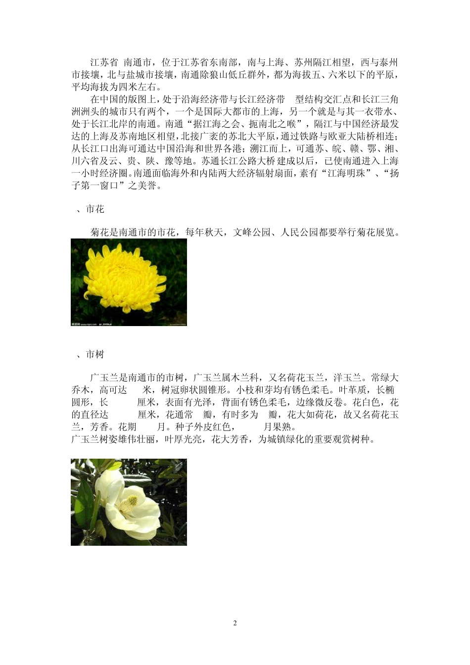 南通民俗调查报告_第2页
