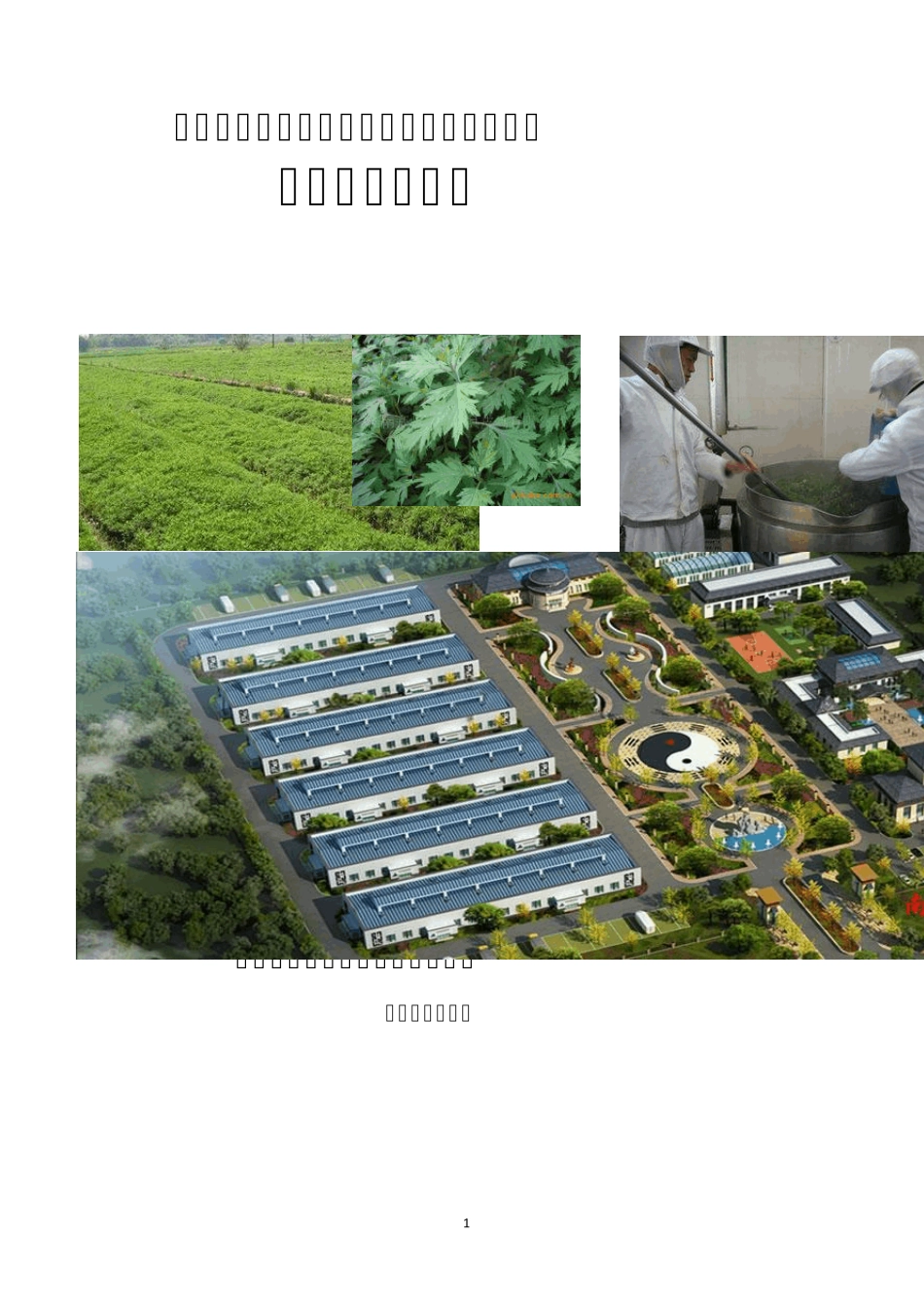 南阳中草药艾草种植加工产业化发展项目_第1页