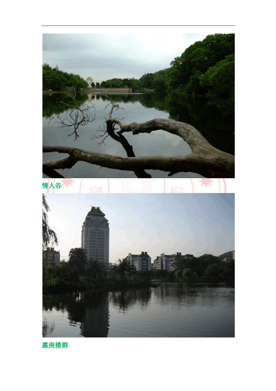 博迪《金融学》复习重要知识点及公式_第2页