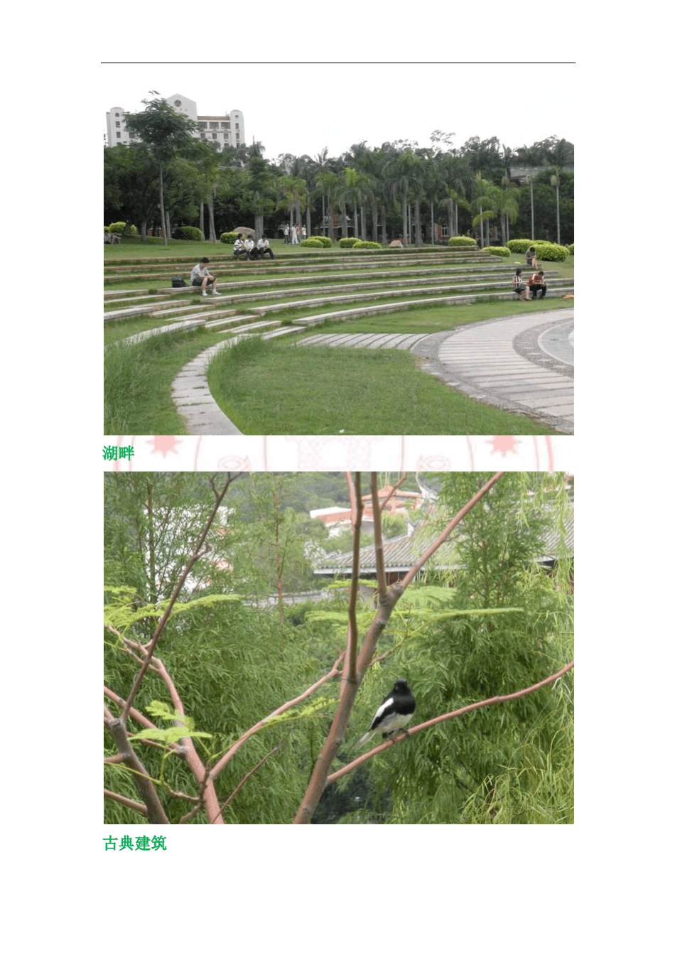 博迪《金融学》复习重要知识点及公式_第3页