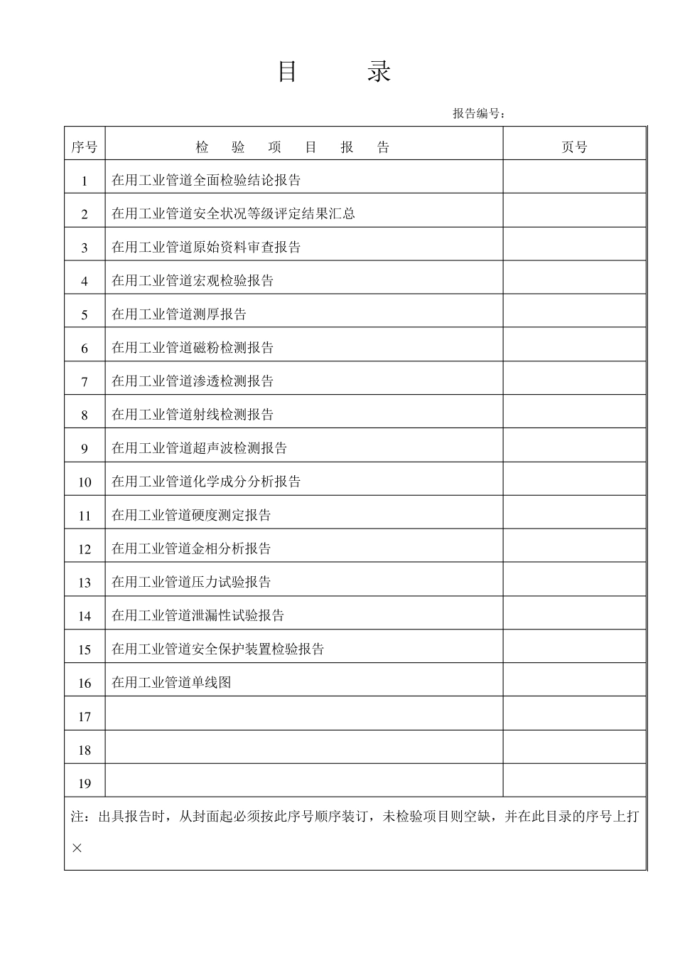 压力管道全面检验报告_第2页