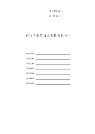 压力管道全面检验报告