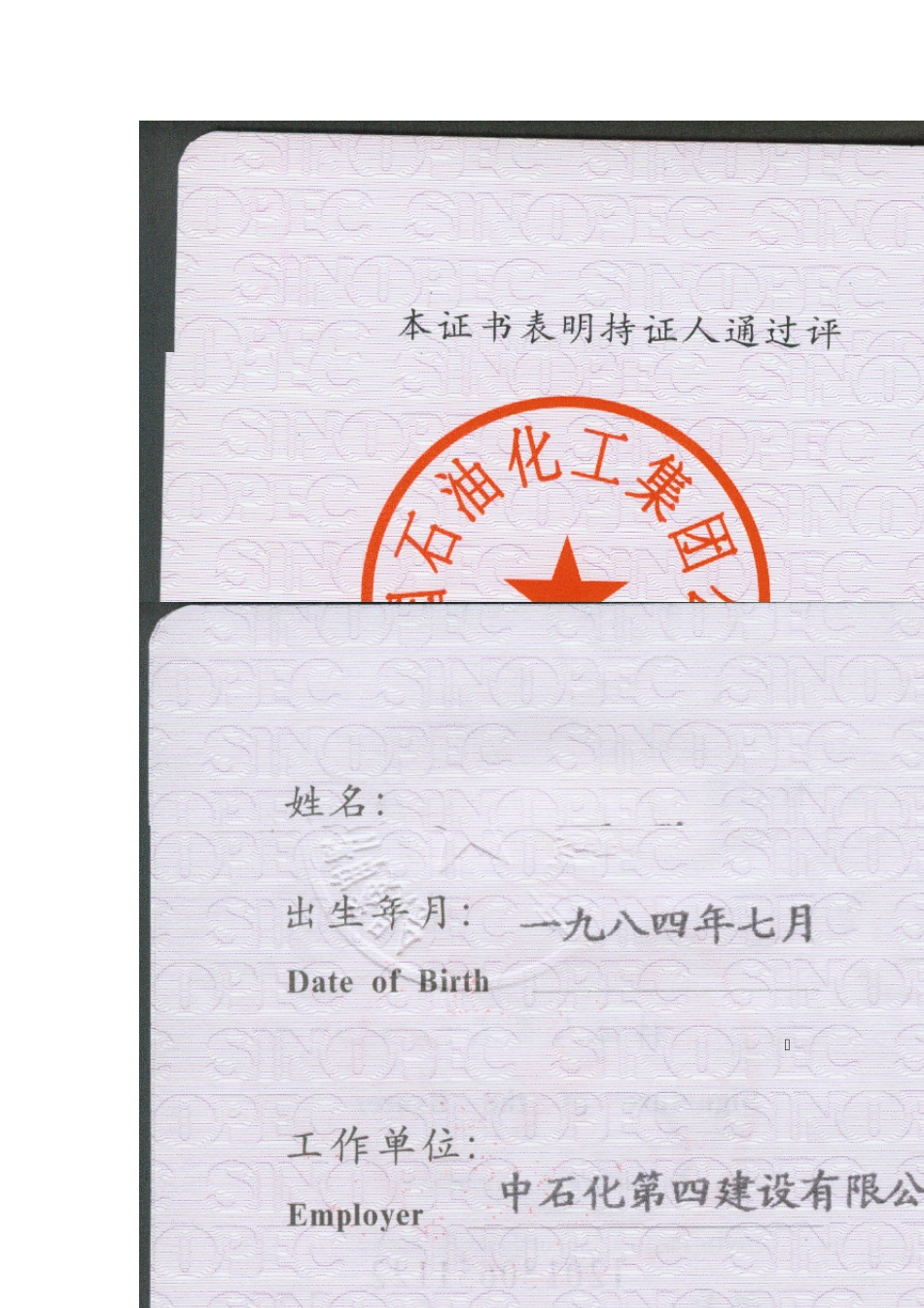 压力管道安装质保体系任命文件及资质证书_第2页