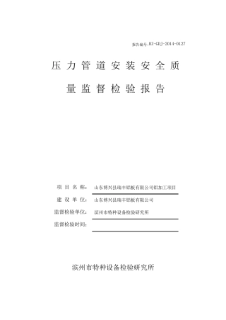 压力管道监检报告