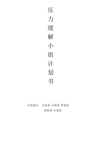 压力缓解小组计划书终极版