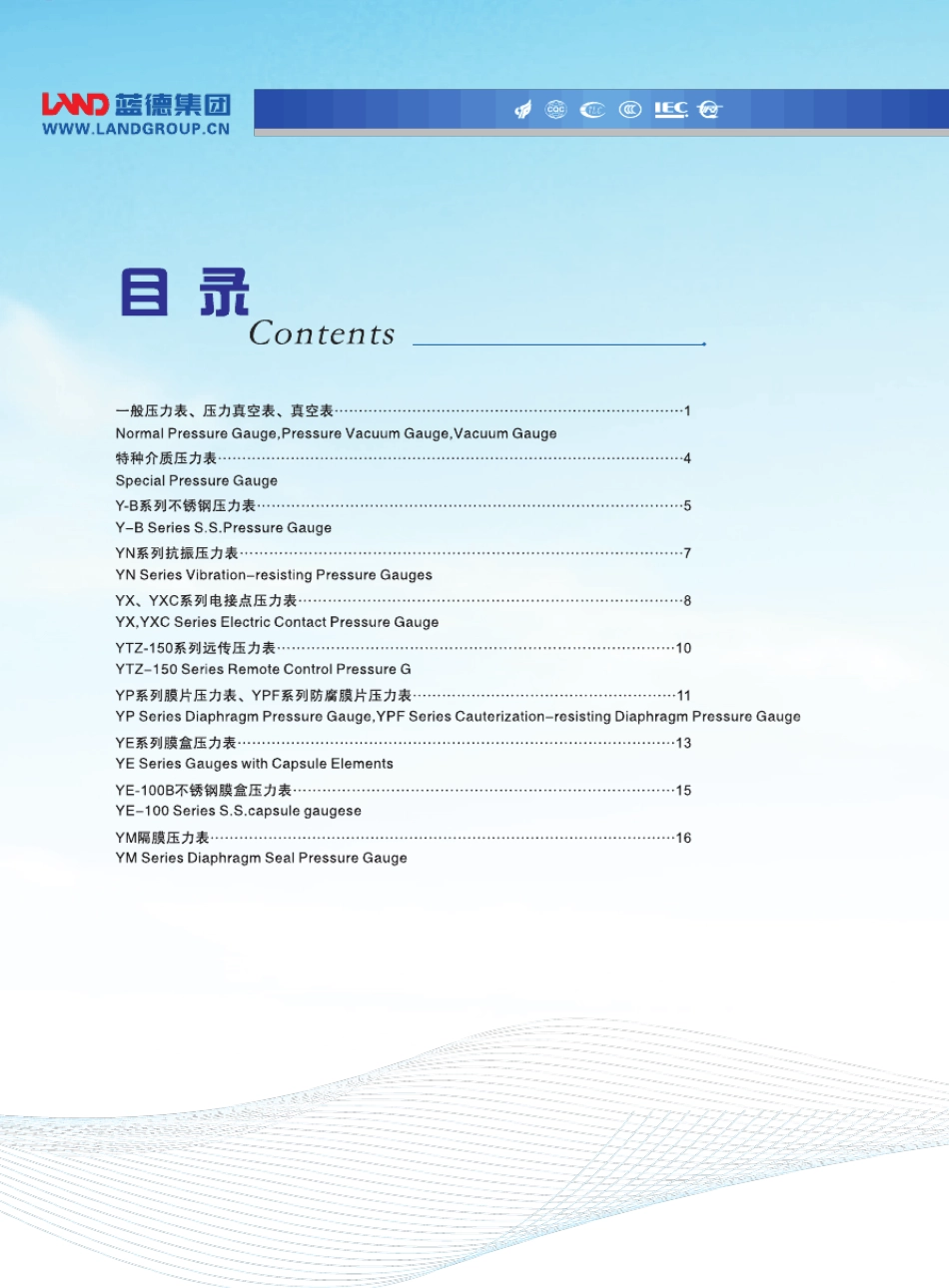 压力表选型样本_第1页