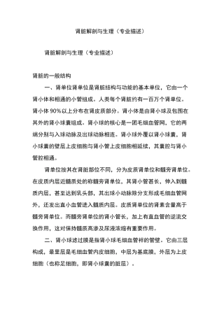 肾脏解剖与生理(专业描述)