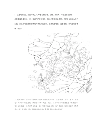 五种工笔莲花的绘画着色步骤详解