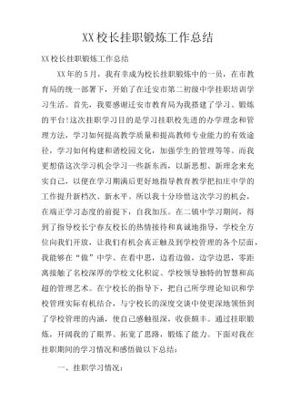 校长挂职锻炼工作总结