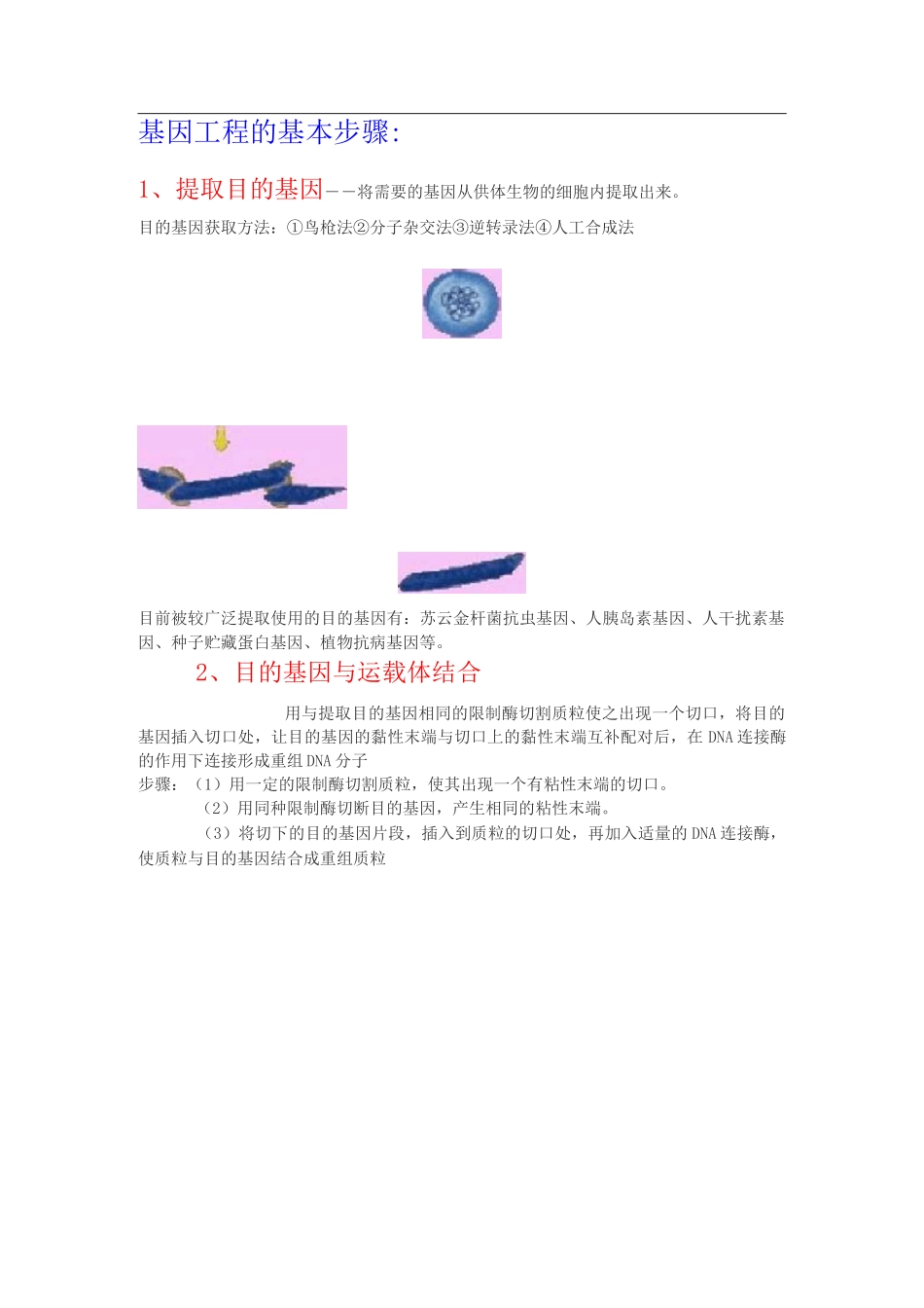 基因工程的基本步骤_第1页