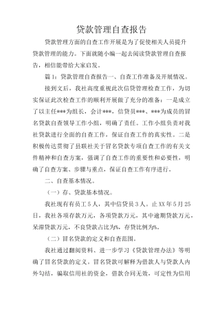 贷款管理自查报告
