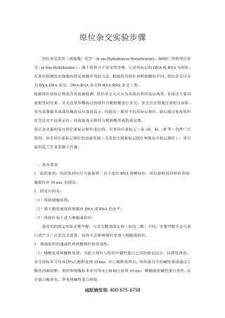 原位杂交实验步骤