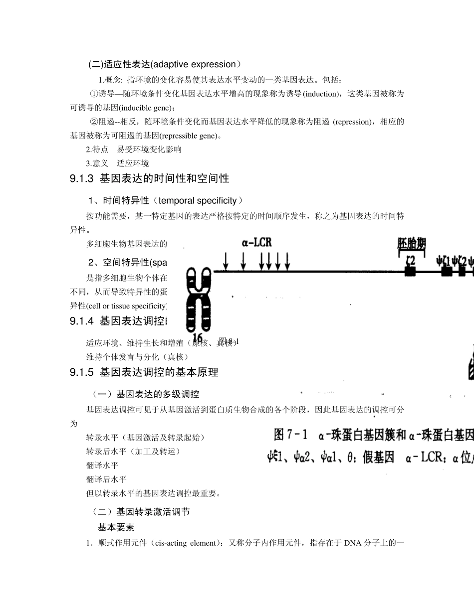 原核生物基因表达的调控_第2页