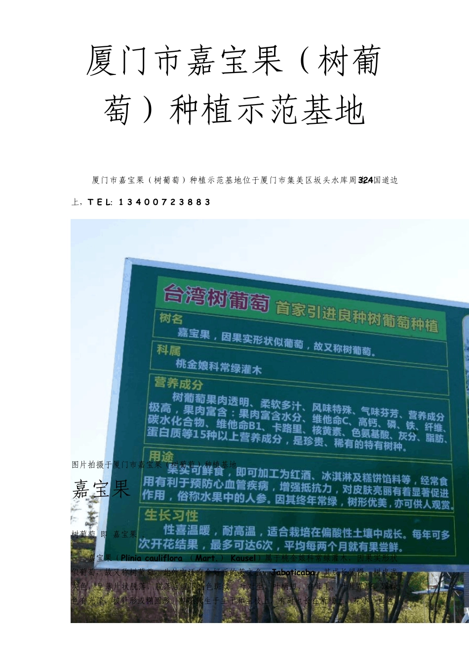 厦门嘉宝果(树葡萄)种植示范基地_第1页