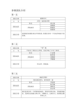 参赛团队介绍