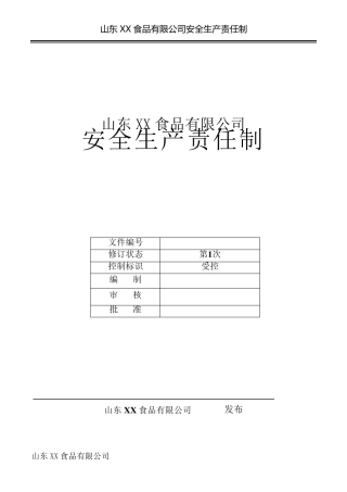 双体系安全生产责任制