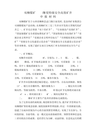 双柳煤矿2013年特级安全高效矿井汇报材料