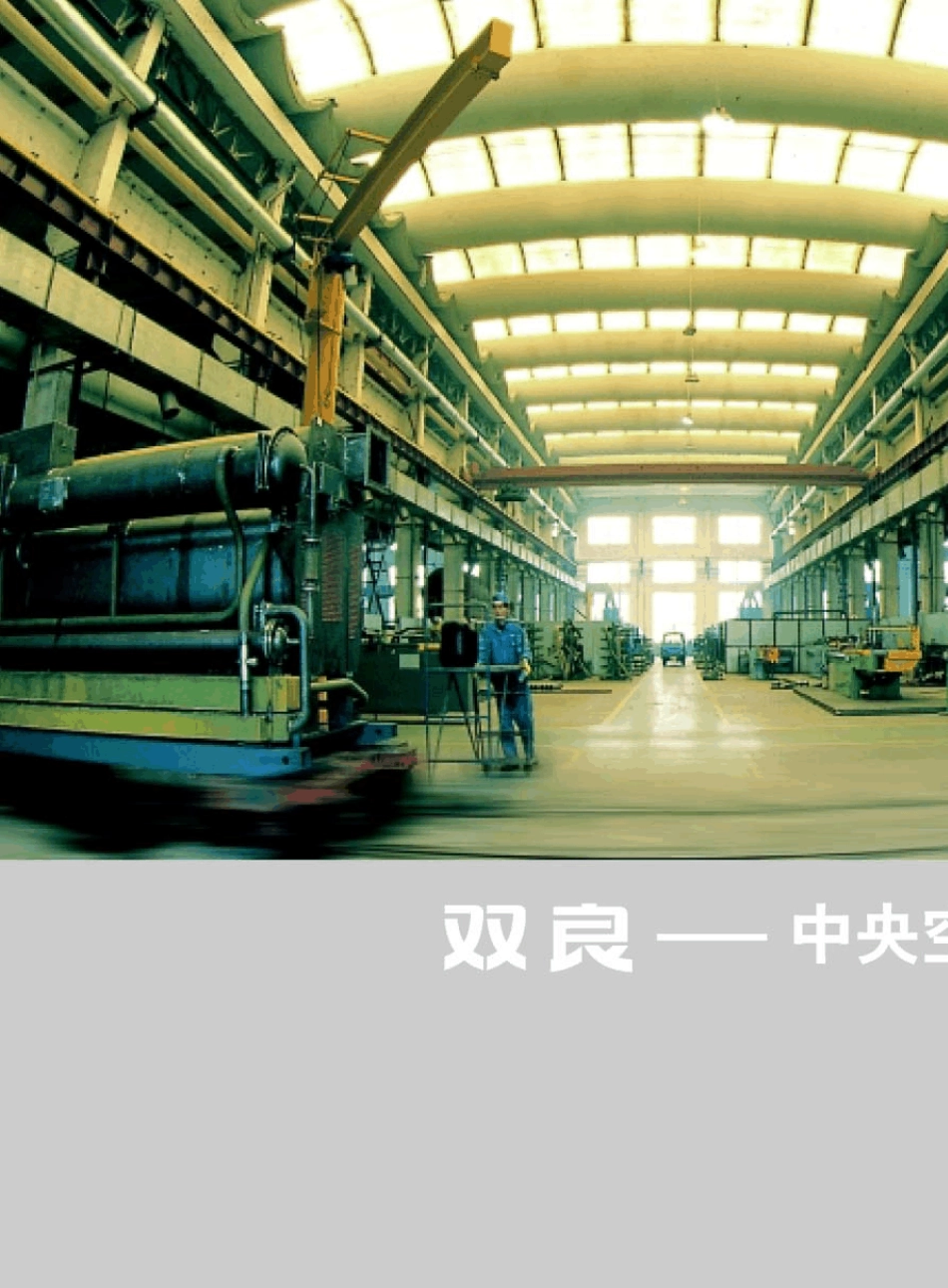 双良水冷组样本螺杆式冷水机_第2页
