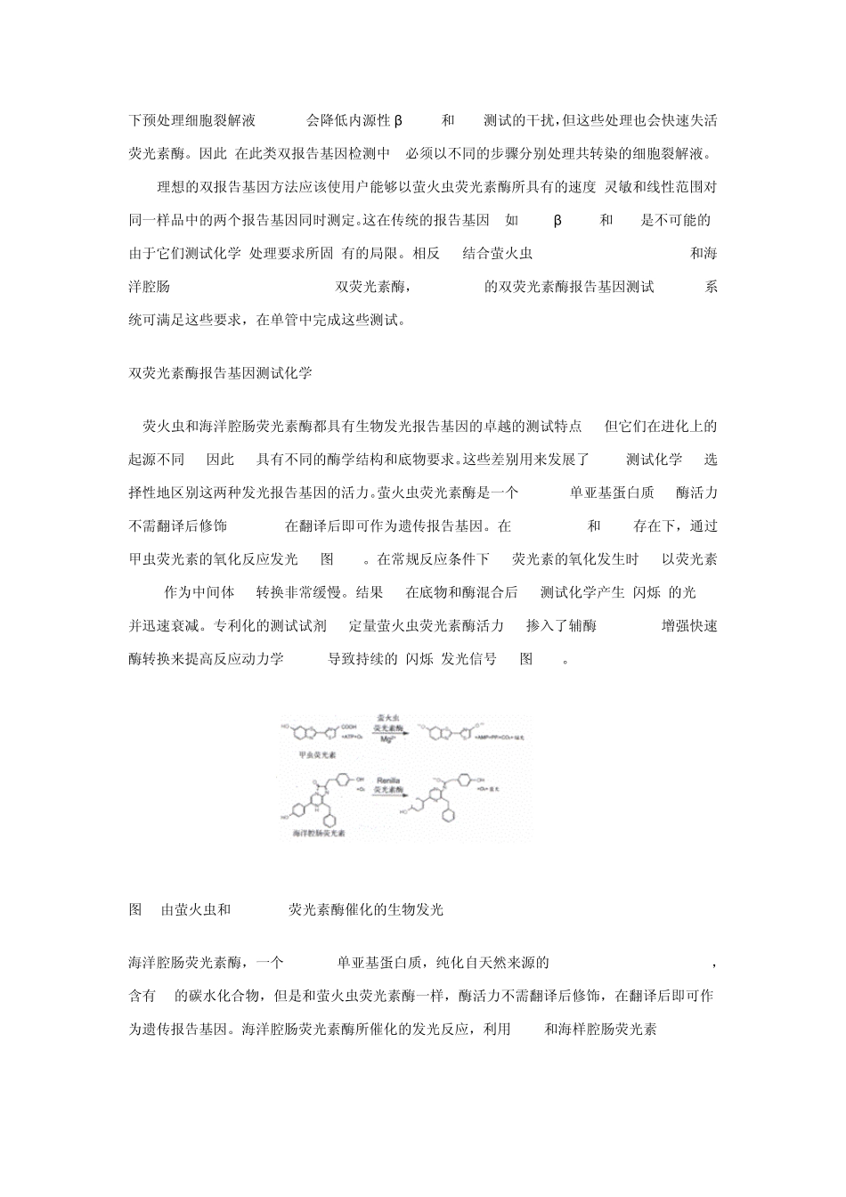 双荧光报告系统_第2页