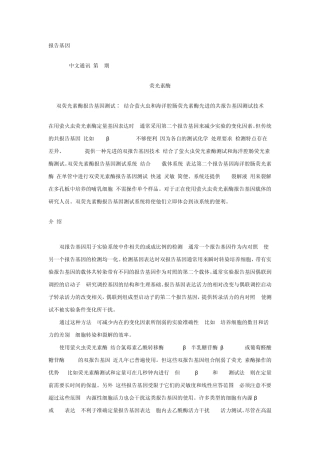 双荧光报告系统