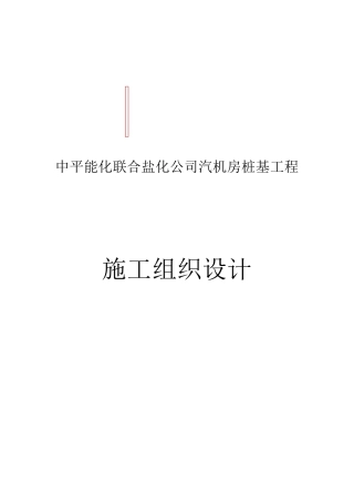 反循环钻孔专项施工方案