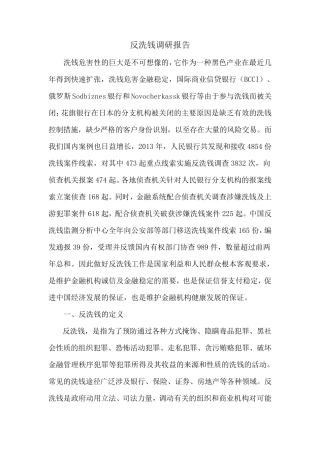 反洗钱调研报告