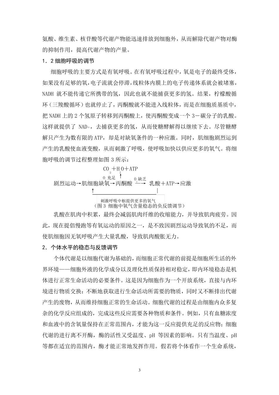 反馈调节与生命系统的稳态_第3页