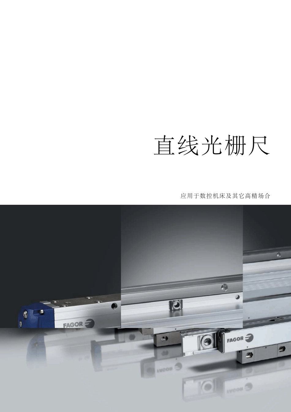 发格直线光栅尺选型样本_第1页