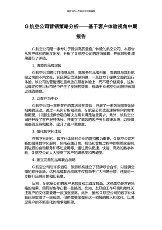 G航空公司营销策略分析——基于客户体验视角中期报告