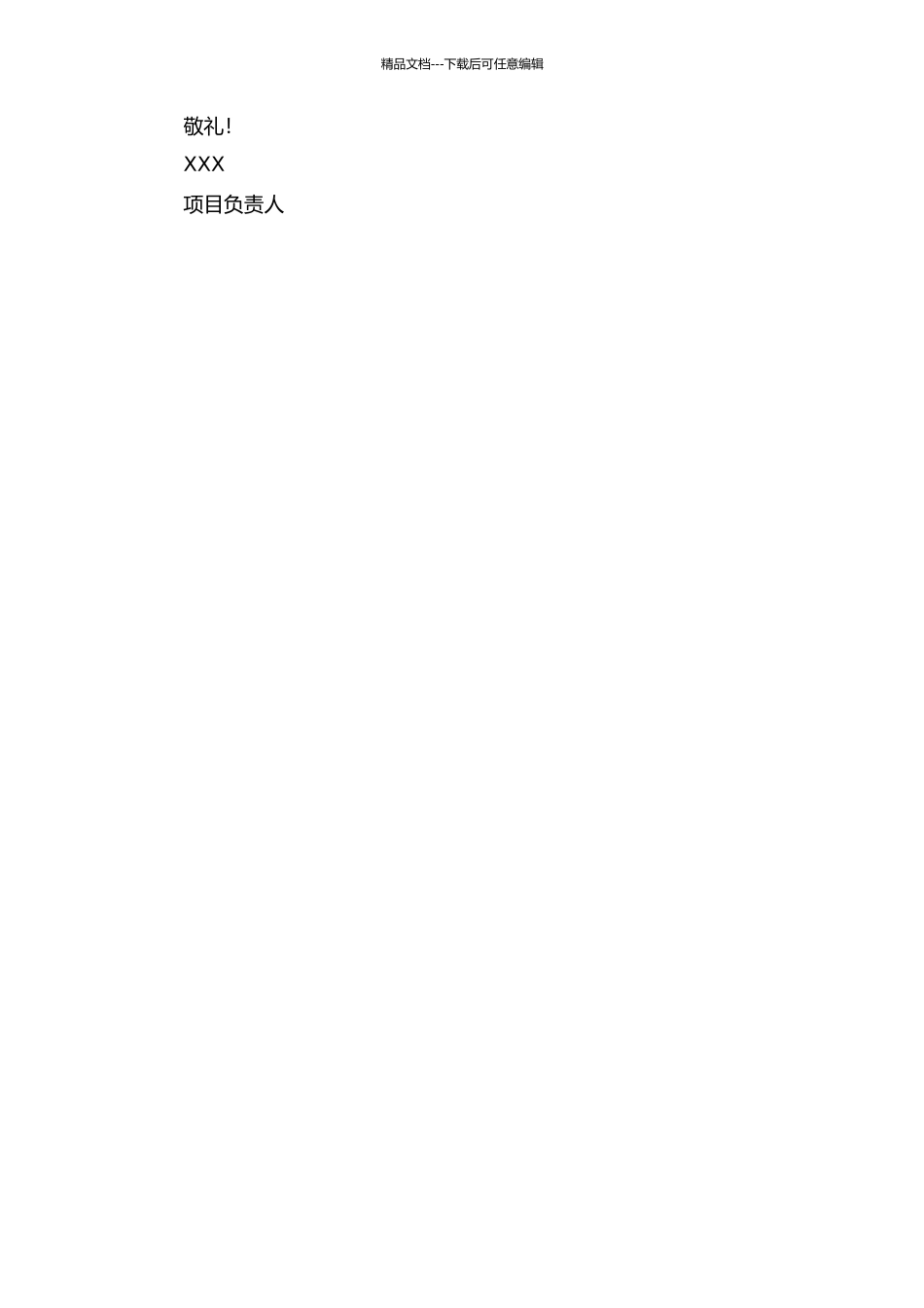 IBM七要素致胜方法在信息开发定制管理系统项目中的应用中期报告_第2页