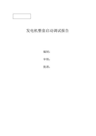 发电机整套启动调试报告