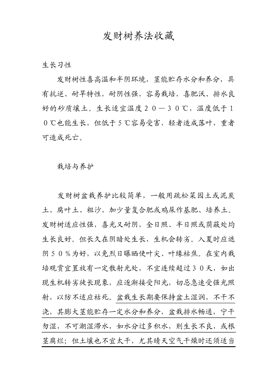 发财树养法收藏_第1页