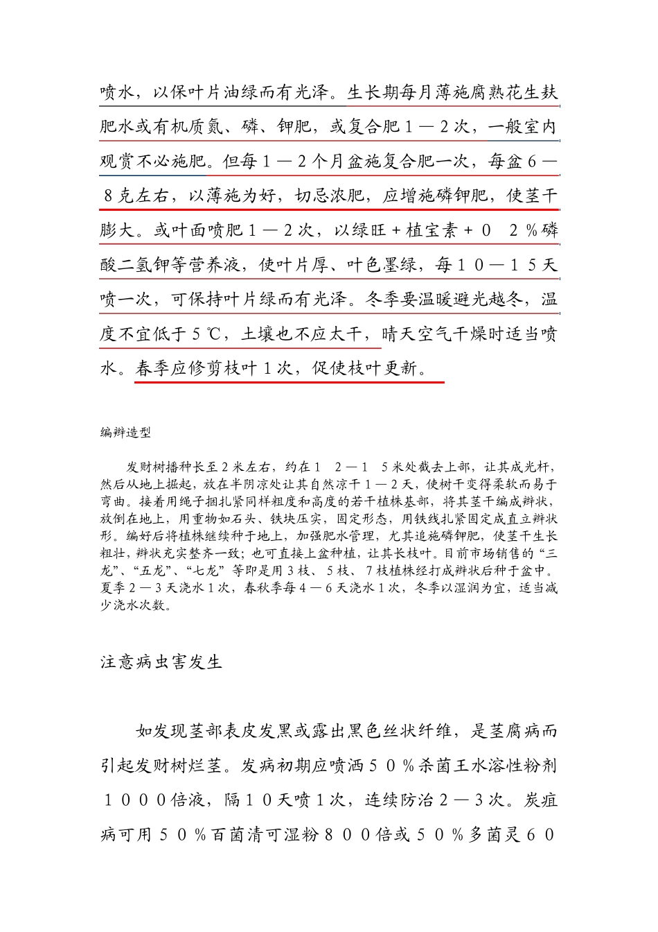 发财树养法收藏_第2页