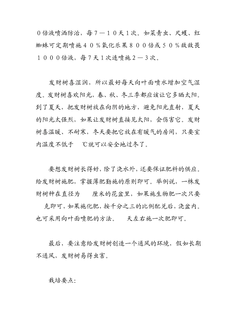 发财树养法收藏_第3页