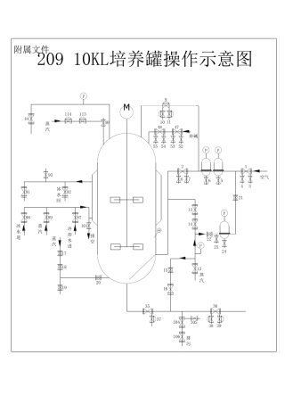 发酵罐cad图纸word文件