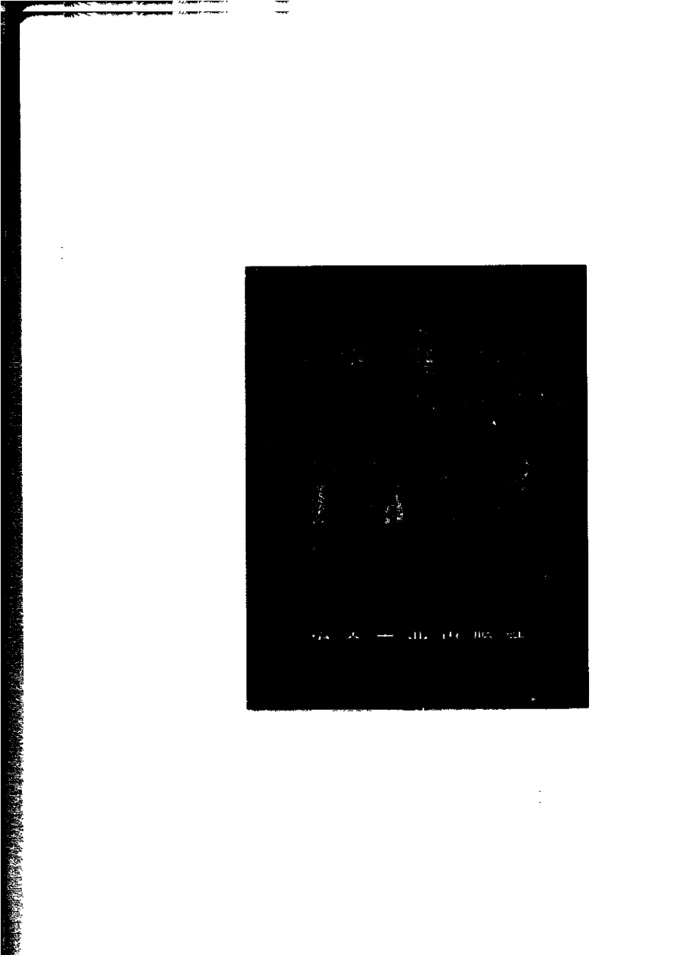 变形铝合金金相图谱_第1页