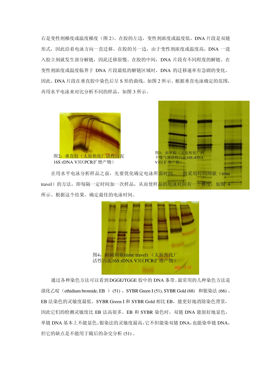 变性梯度凝胶电泳(DGGE)和温度梯度凝胶电泳(TGGE)_第3页