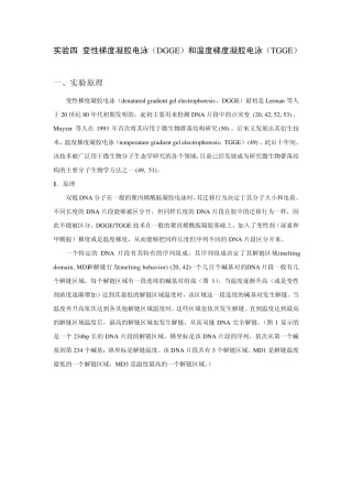 变性梯度凝胶电泳(DGGE)和温度梯度凝胶电泳(TGGE)