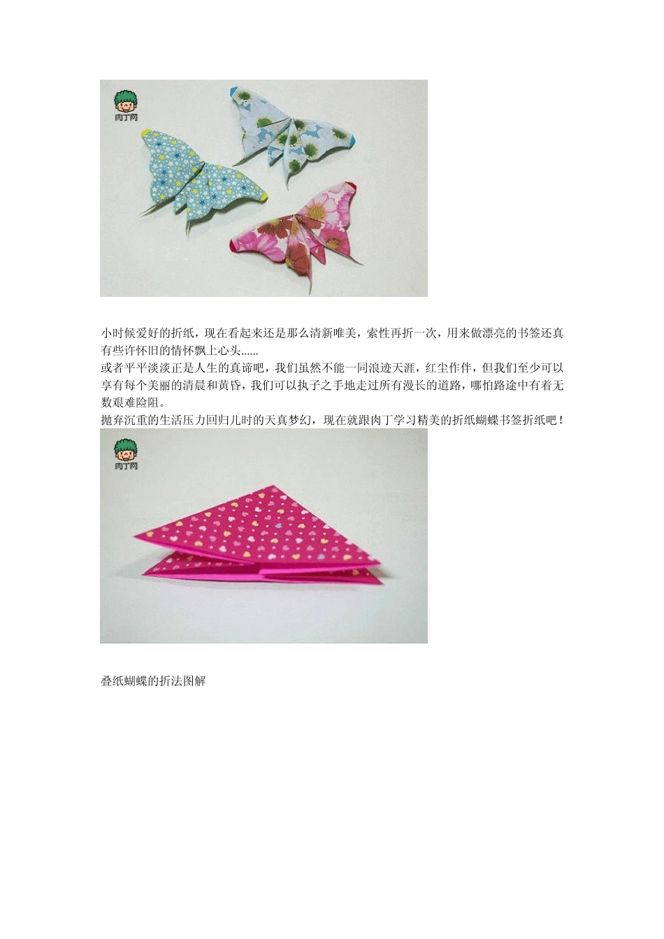 叠纸蝴蝶的折法_第1页