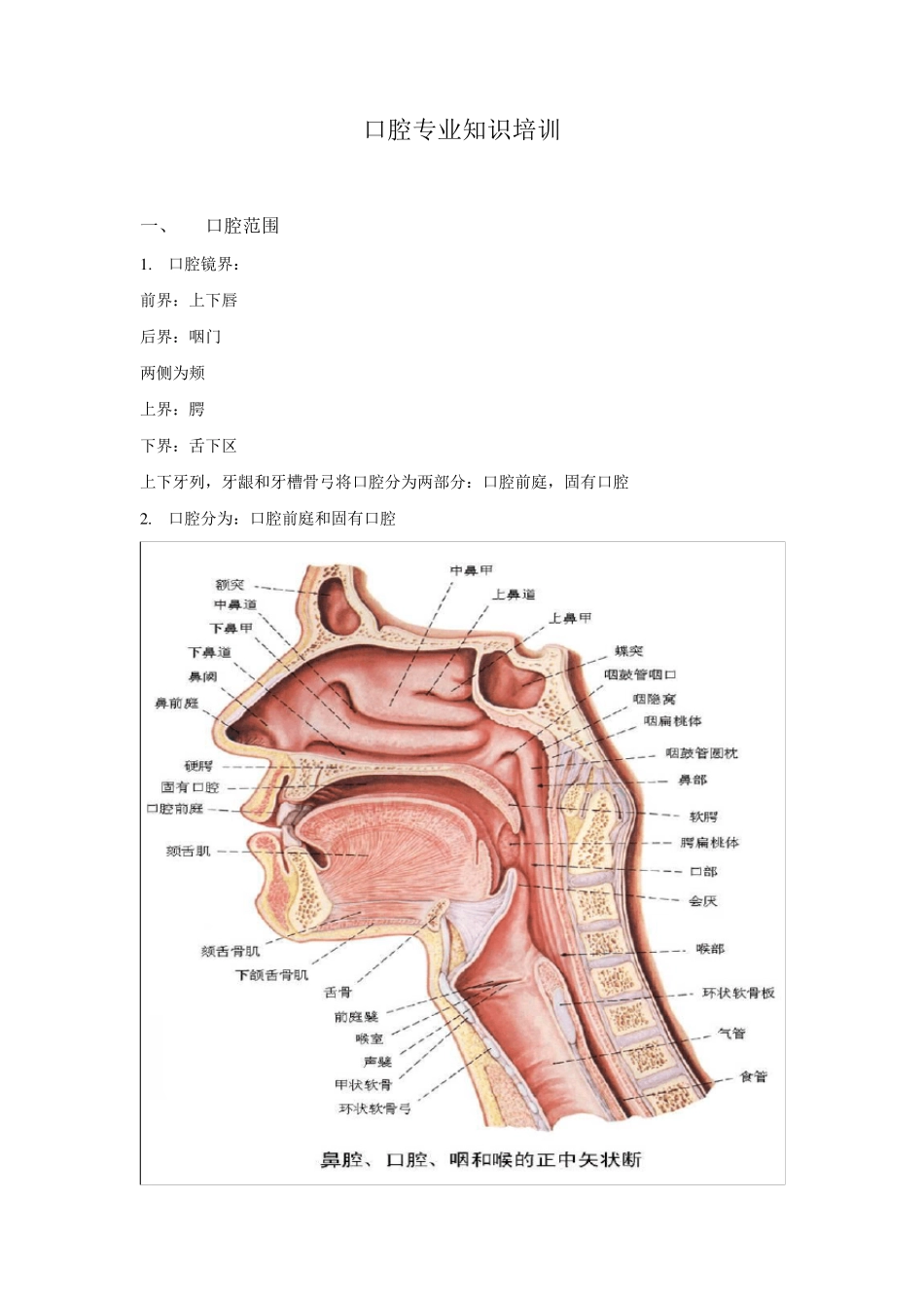 口腔专业知识培训_第1页
