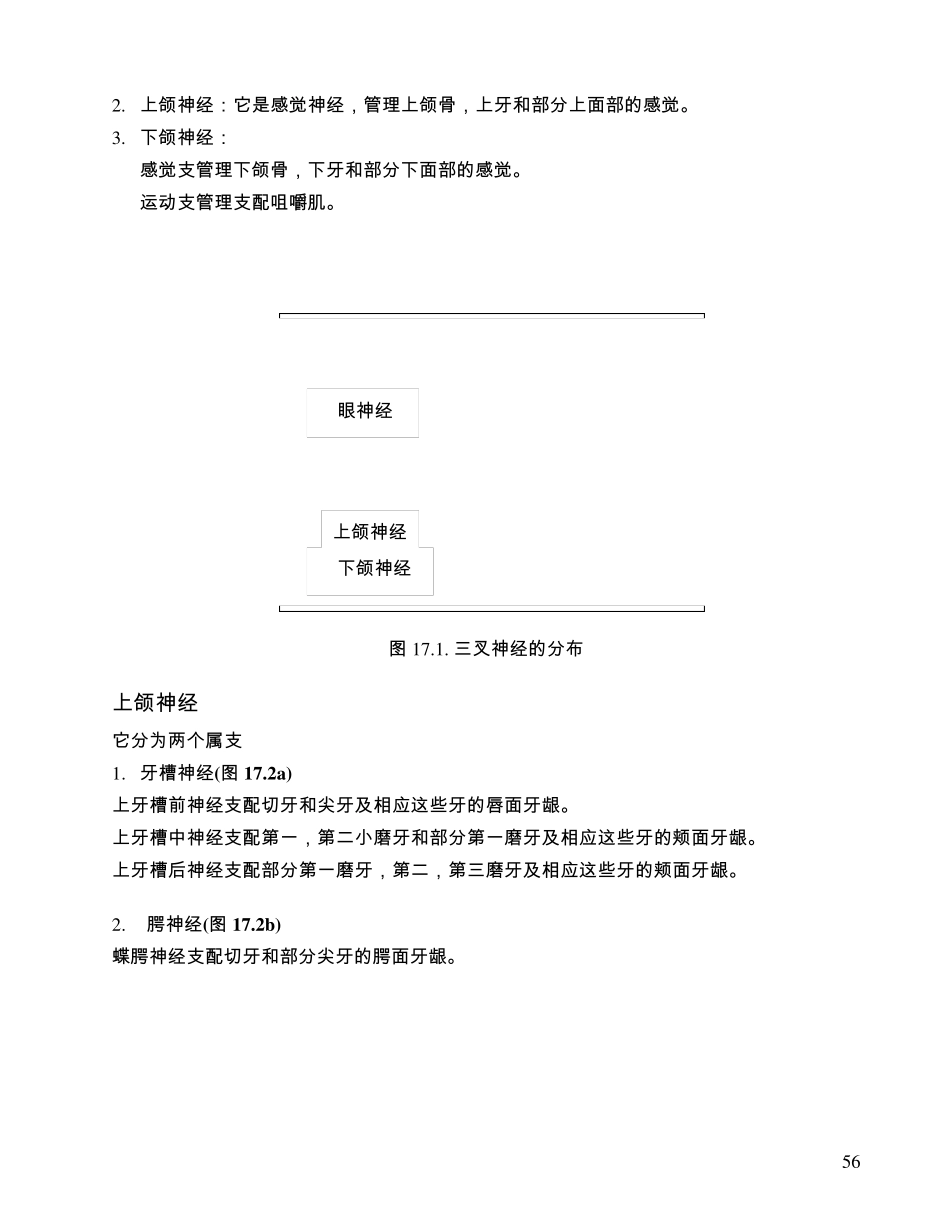 口腔局部麻醉_第2页