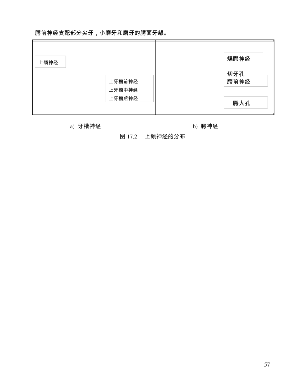 口腔局部麻醉_第3页