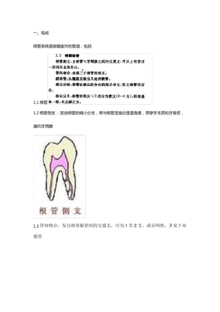口腔根管系统