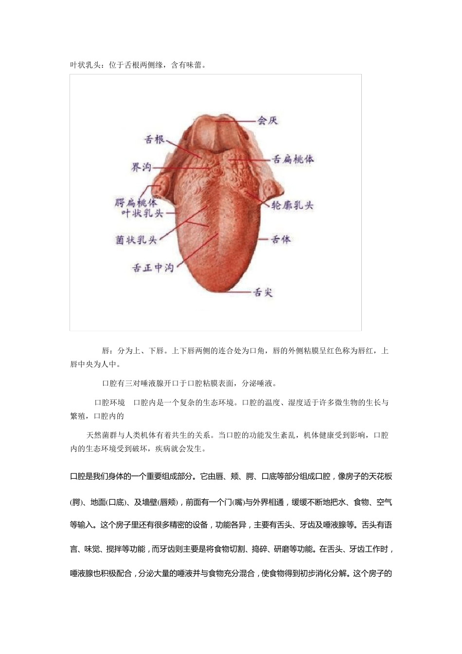 口腔知识大全_第3页