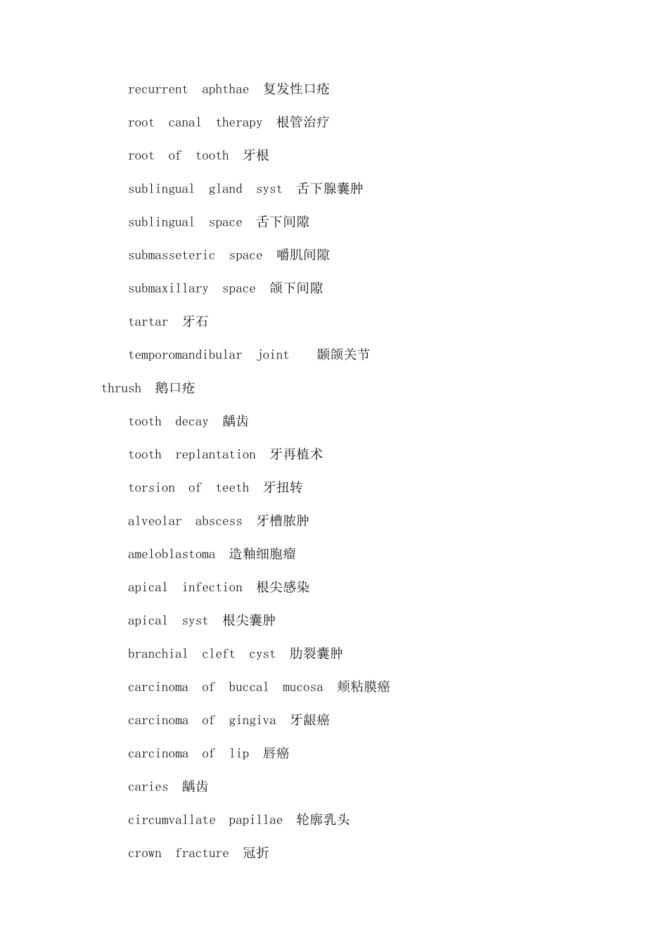 口腔英文词汇_第3页