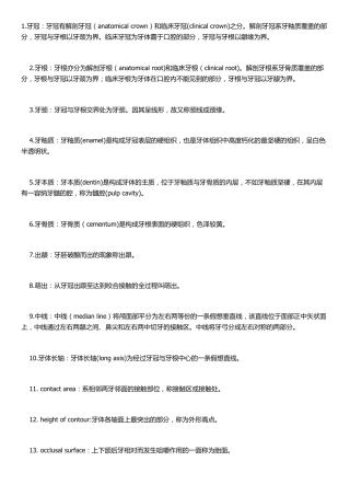 口腔解剖名词解释
